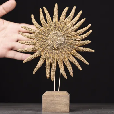 Pycnopodia Helianthoides – “Sunflower Starfish”