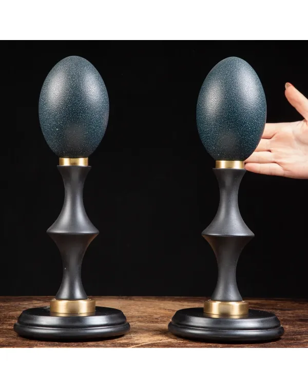 Uova di Emù su base in legno e ottone