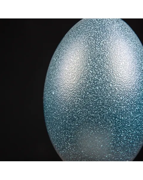 Œuf D'Émeu Sur Socle En Laiton - H 18 Cm - Bleu - Très Bon état