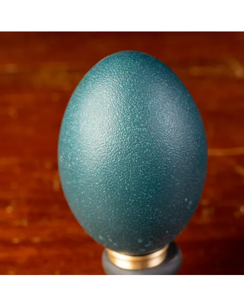 Uova di Emu su Base in Legno ed Ottone.