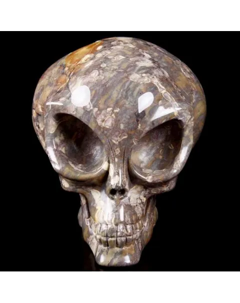 Teschio Alieno in Uovo di Dinosauro Agatizzato