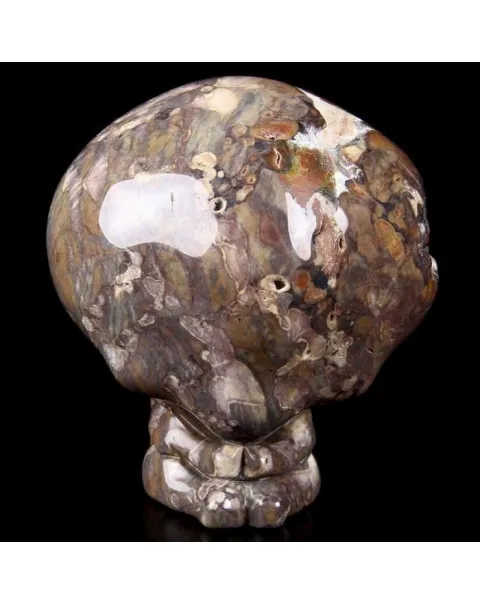 Teschio Alieno in Uovo di Dinosauro Agatizzato
