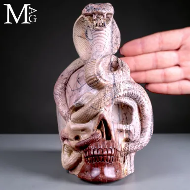 Teschio in Diaspro Dendritico con Serpente – Sim...