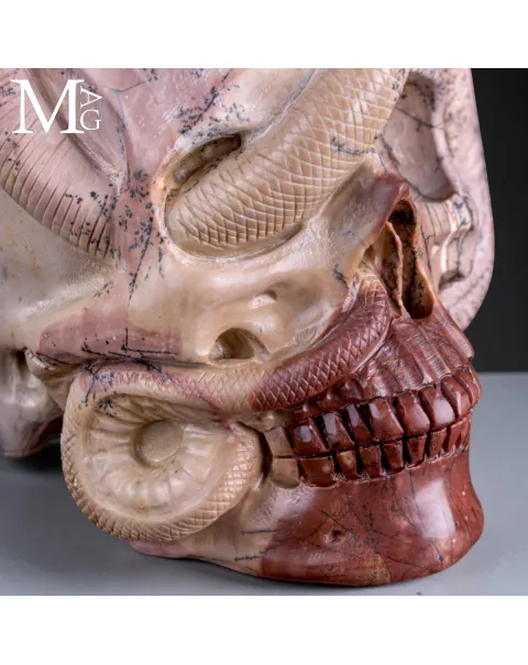 Teschio in Diaspro Dendritico con Serpente – Simbolo di Sapienza.