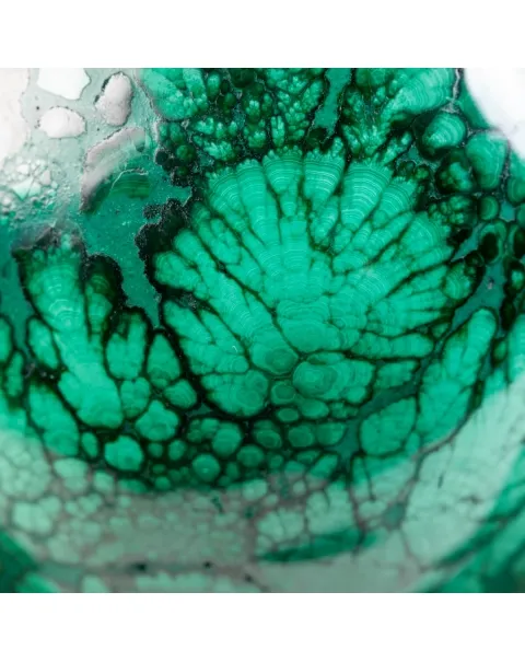 Teschio - Malachite
