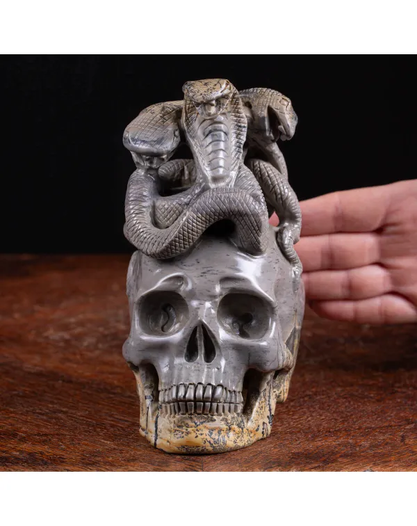 Teschio in Diaspro con Serpenti.