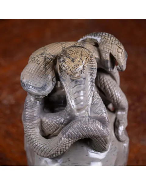Teschio in Diaspro con Serpenti.