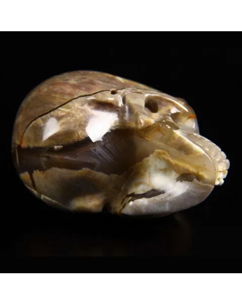 Teschio in Uovo di Dinosauro e Agata