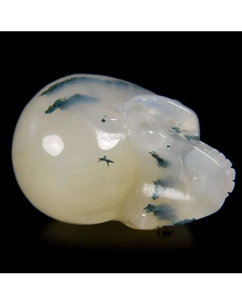 Teschio di Agata Muschiata