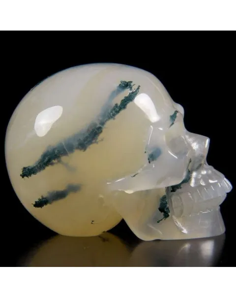 Teschio di Agata Muschiata