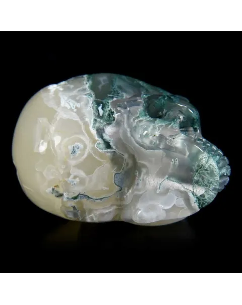 Teschio di Agata Muschiata