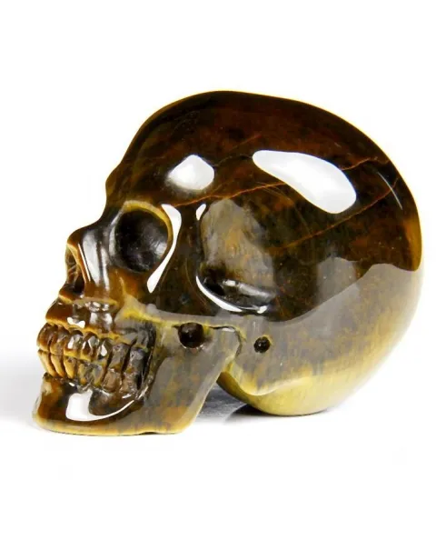 Teschio di Occhio di Tigre
