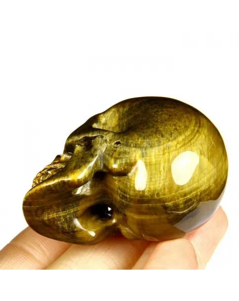 Teschio di Occhio di Tigre