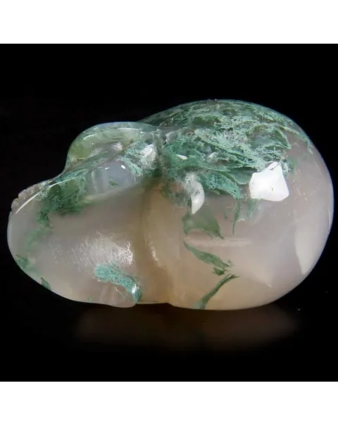 Teschio di Agata Muschiata