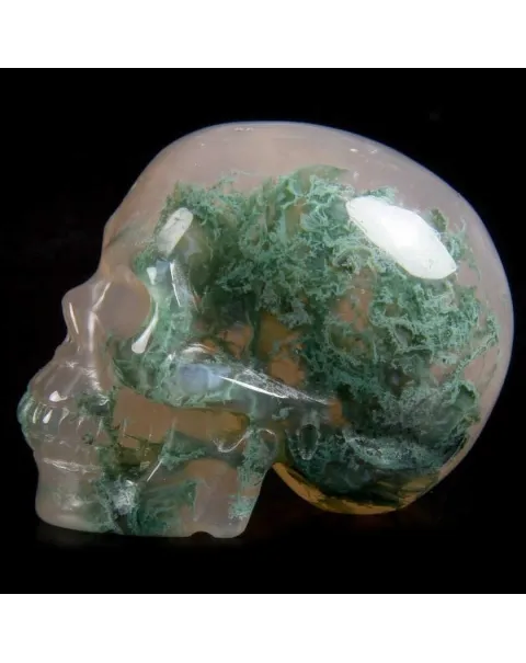 Teschio di Agata Muschiata