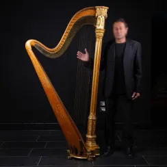 Strumenti Musicali & Grammofoni (3)