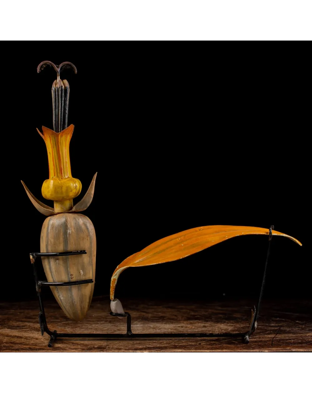 Antico Modello Anatomico Fiore Tubolare
