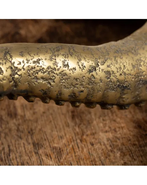 Scultura Bronzo Polpo