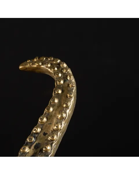 Scultura Bronzo Polpo