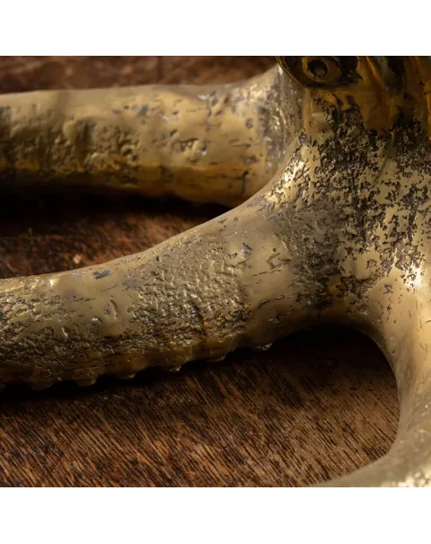 Scultura Bronzo Polpo