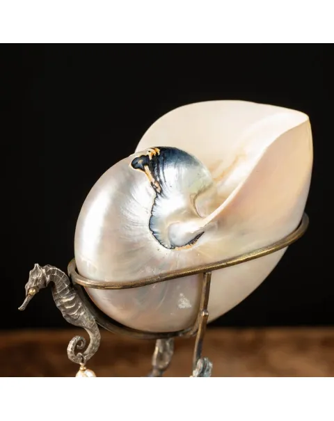 Scultura Bronzo Tritone con Nautilus