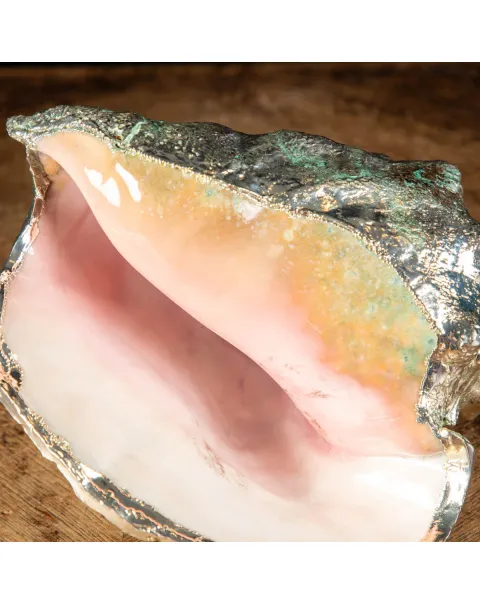 Conchiglia Strombus gigas placcata in argento - Eleganza Naturale.