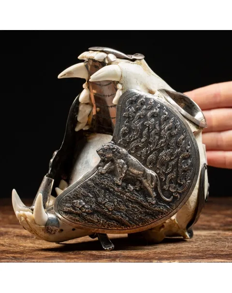 Teschio di Puma con montatura d'argento - Compendio per fumatori