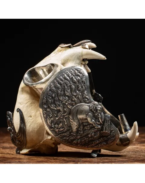 Teschio di Puma con montatura d'argento - Compendio per fumatori