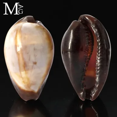 Erronea Onyx - Vietnam