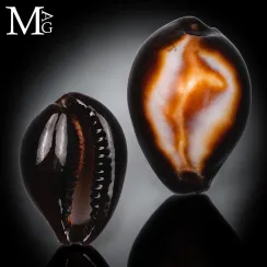 Erronea Onyx (4)