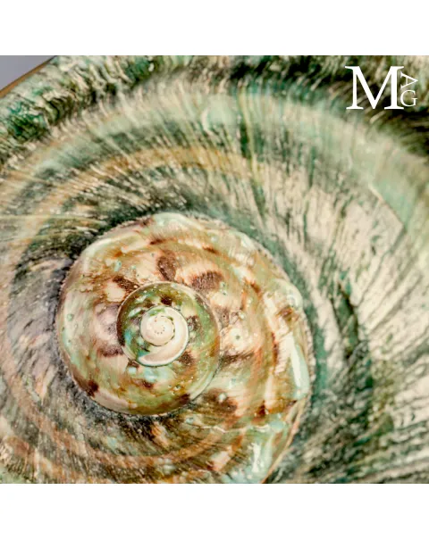 Large Turbo marmoratus Shell with Natural Green Surface and Mother-of-Pearl