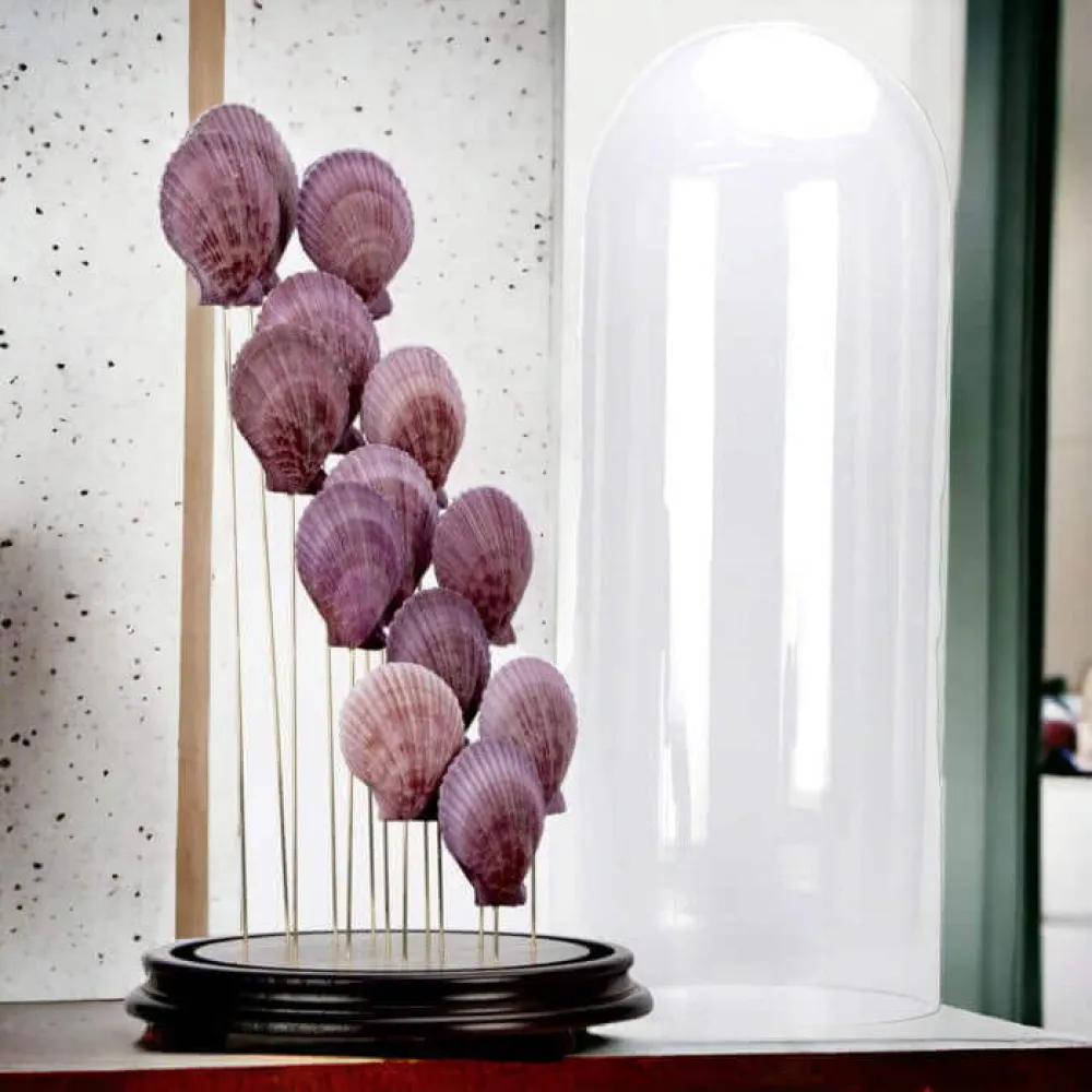 Lot De ~500 Coquillages Naturels - Blancs, Marron, Violet - Pour Artisanat Et Déco - Thème Marin