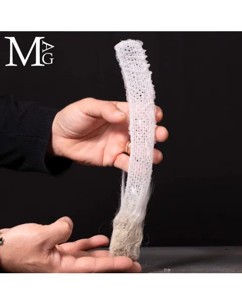 Euplectella Aspergillum – La Cesta di Venere