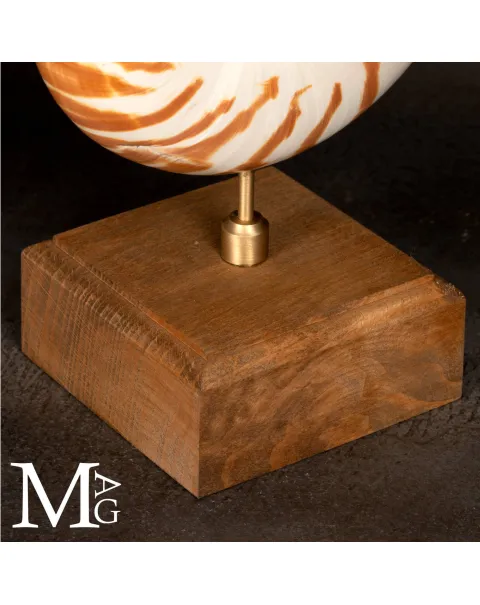 Nautilus montato su base in legno.