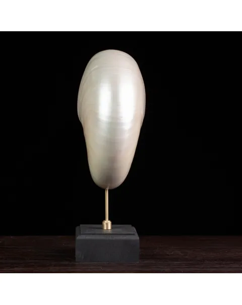 Nautilus in Madreperla su Base Decorativa: Eleganza Moderna dal Fascino Settecentesco.