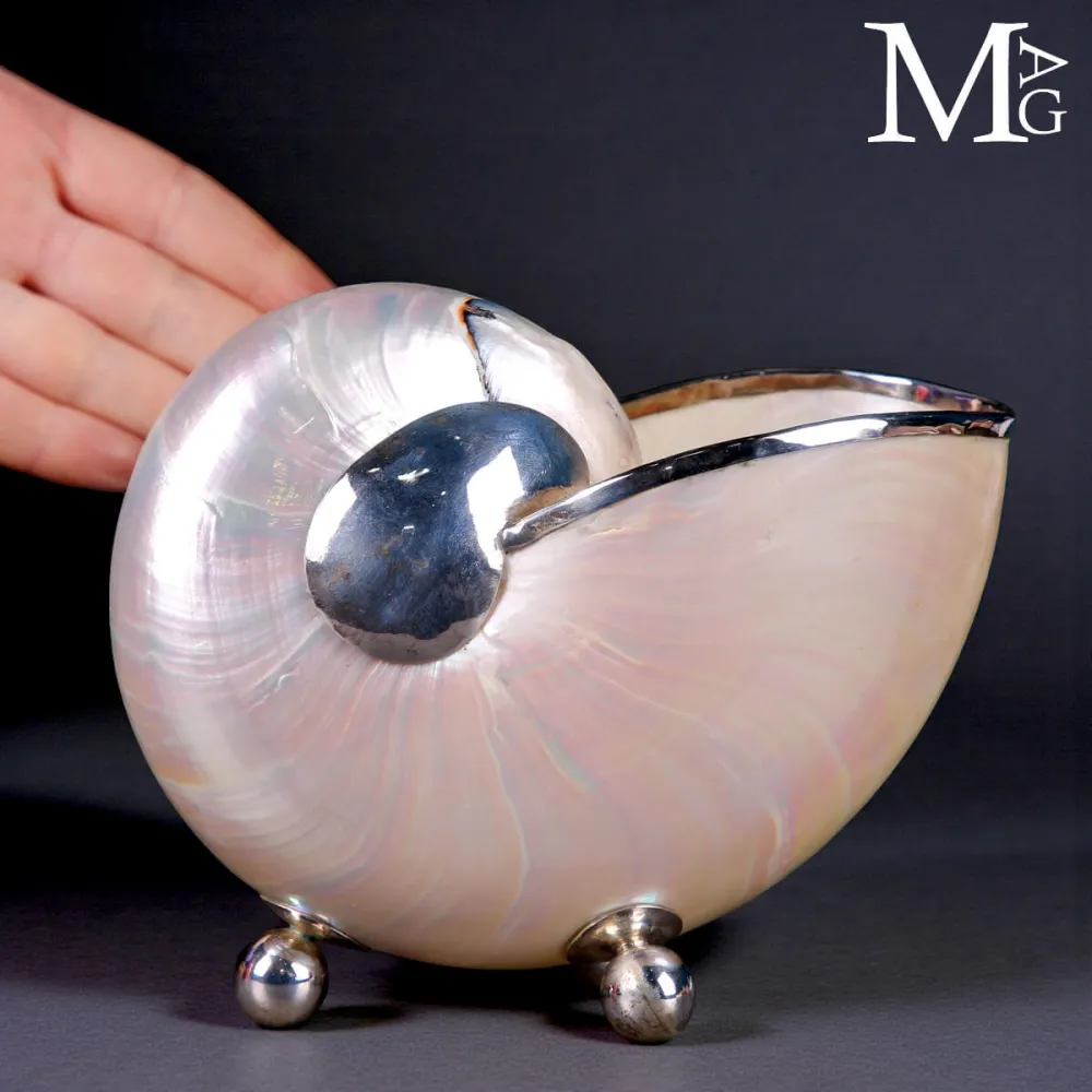 Nautilus in Madreperla - Finiture in Argento