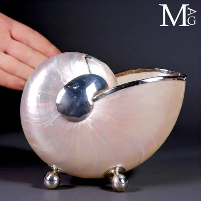 Nautilus in Madreperla - Finiture in Argento