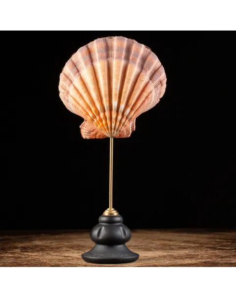 Pecten Subnodosus su Piedistallo