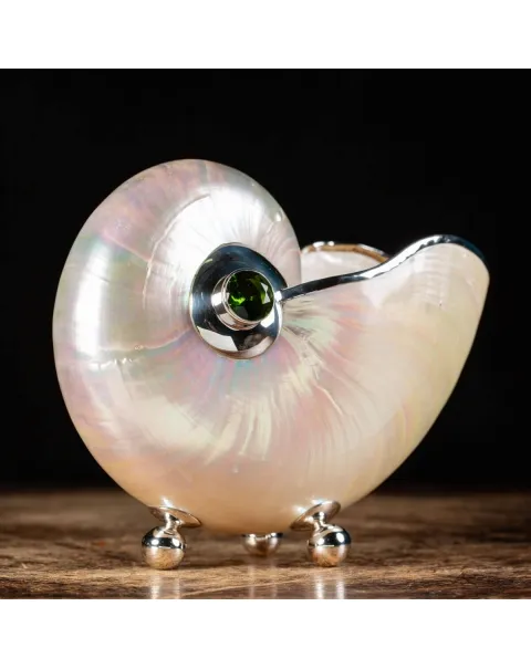 Nautilus in Madreperla con lavorazione in argento e gemme verdi