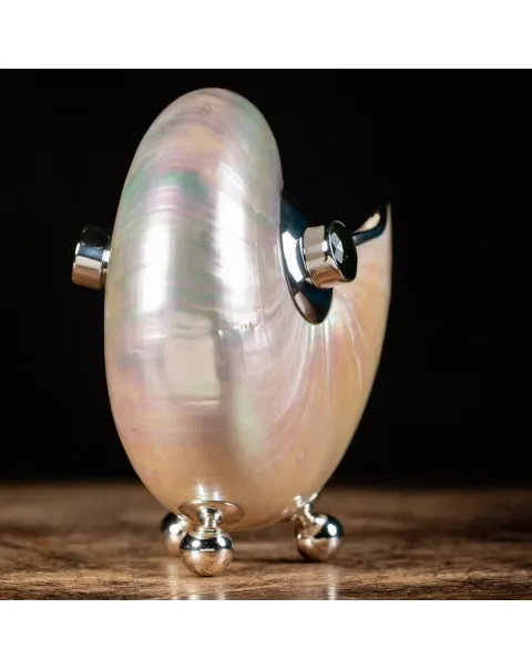 Nautilus in Madreperla con lavorazione in argento e gemme verdi