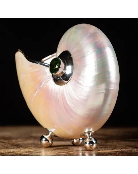 Nautilus in Madreperla con lavorazione in argento e gemme verdi