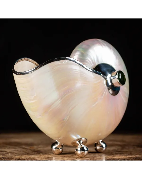 Nautilus in Madreperla con lavorazione in argento ...
