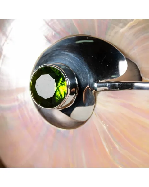 Nautilus in Madreperla con lavorazione in argento e gemme verdi