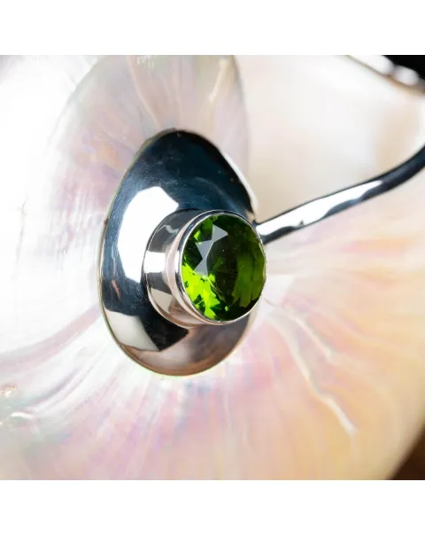 Nautilus in Madreperla con lavorazione in argento e gemme verdi