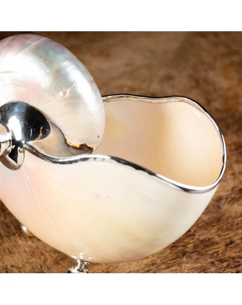 Nautilus in Madreperla con lavorazione in argento e gemme verdi