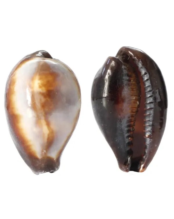 Erronea Onyx