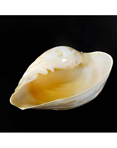Melo Amphora