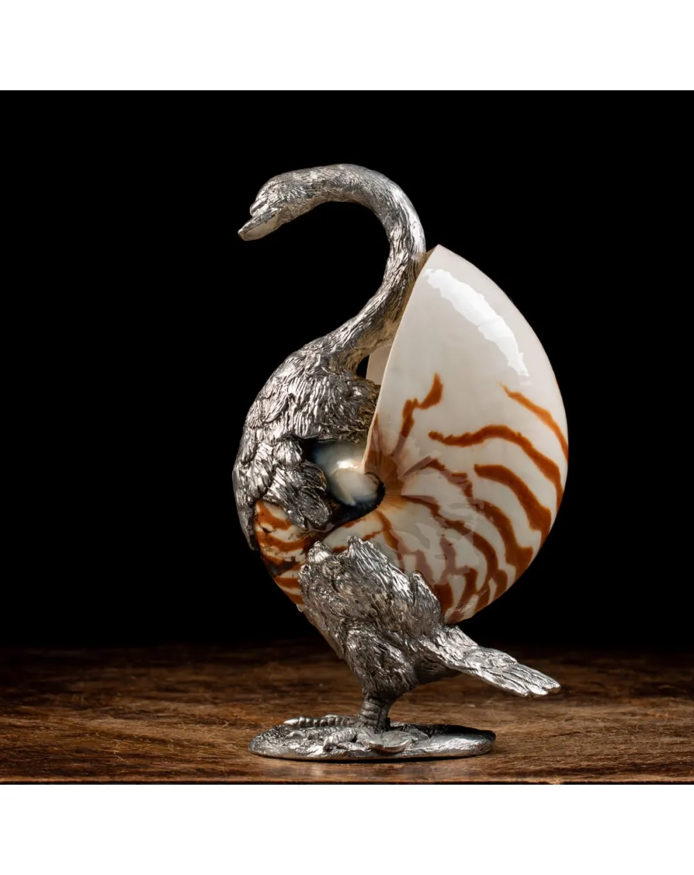 Scultura Cigno su Nautilus Pompilius