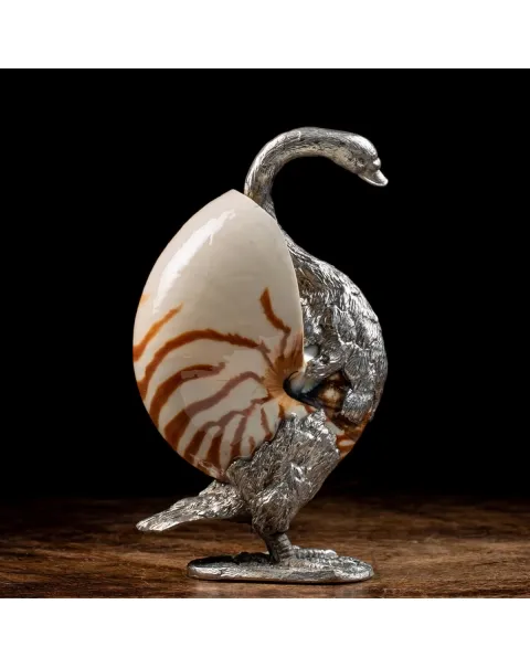 Scultura Cigno su Nautilus Pompilius