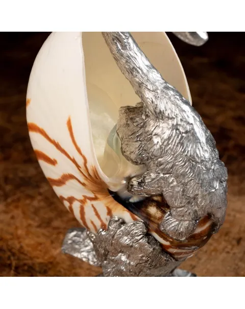 Scultura Cigno su Nautilus Pompilius